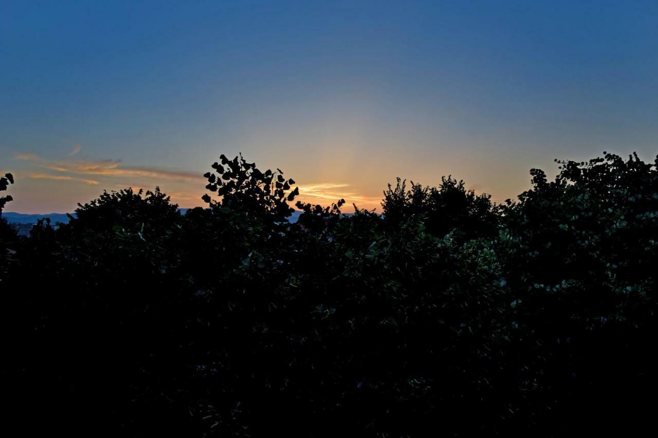 Bed and Breakfast Eagles Philadelphia Korce Exteriér fotografie